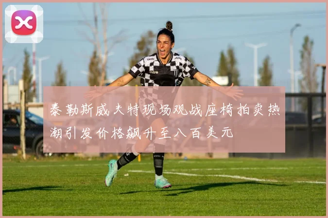 泰勒斯威夫特现场观战座椅拍卖热潮引发价格飙升至八百美元
