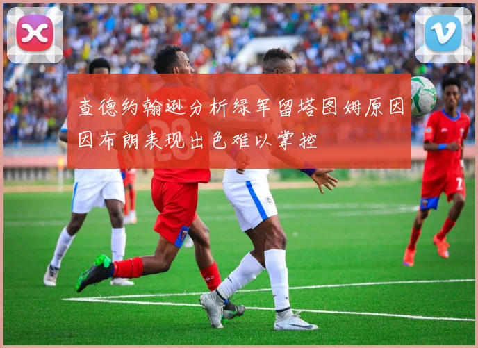 查德约翰逊分析绿军留塔图姆原因因布朗表现出色难以掌控