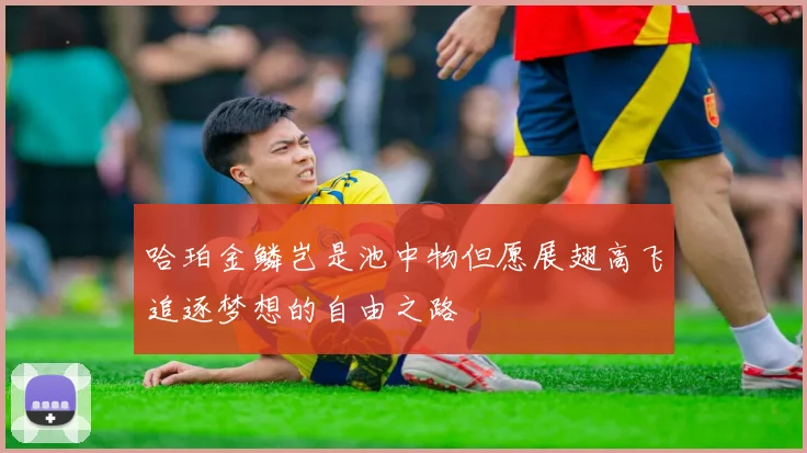 哈珀金鳞岂是池中物但愿展翅高飞追逐梦想的自由之路