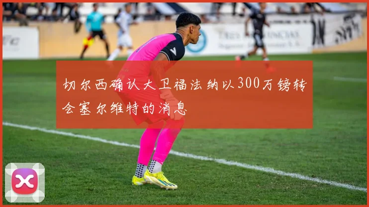 切尔西确认大卫福法纳以300万镑转会塞尔维特的消息