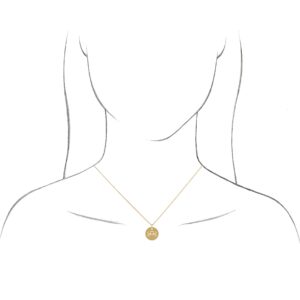 Capricorn Zodiac Disc Pendant - Image 4